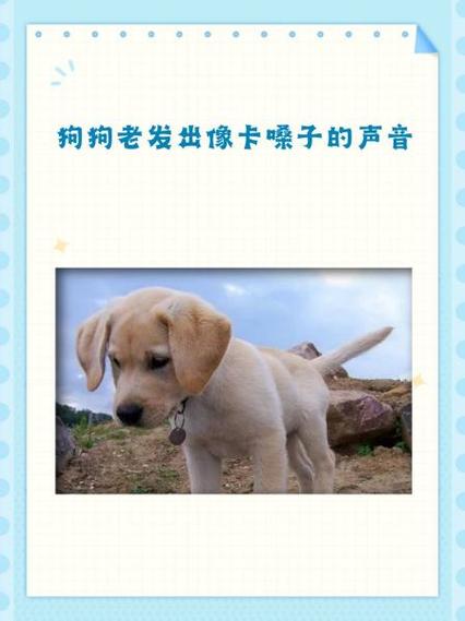 只有狗才能听到的音频
