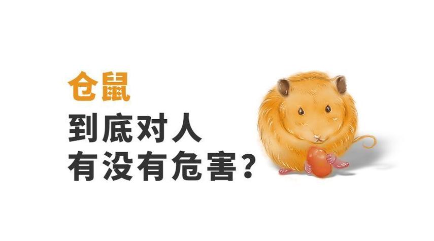 养仓鼠对人的巨大危害