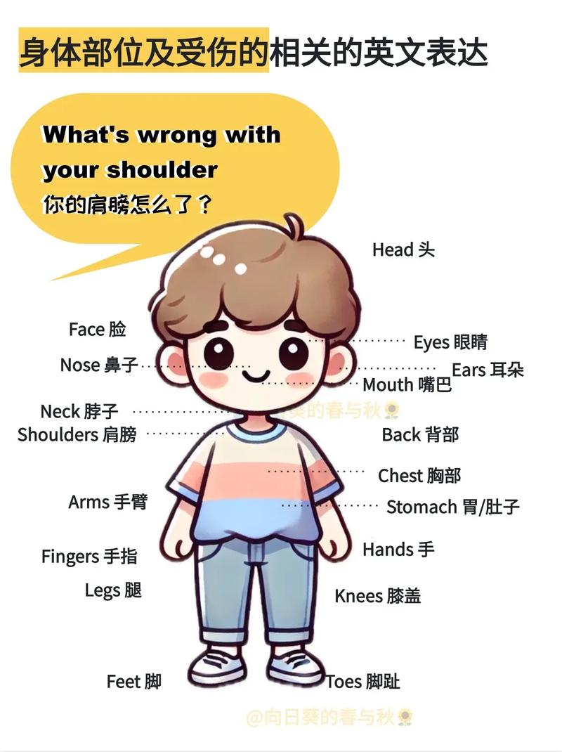 Mybody正确发音截图2
