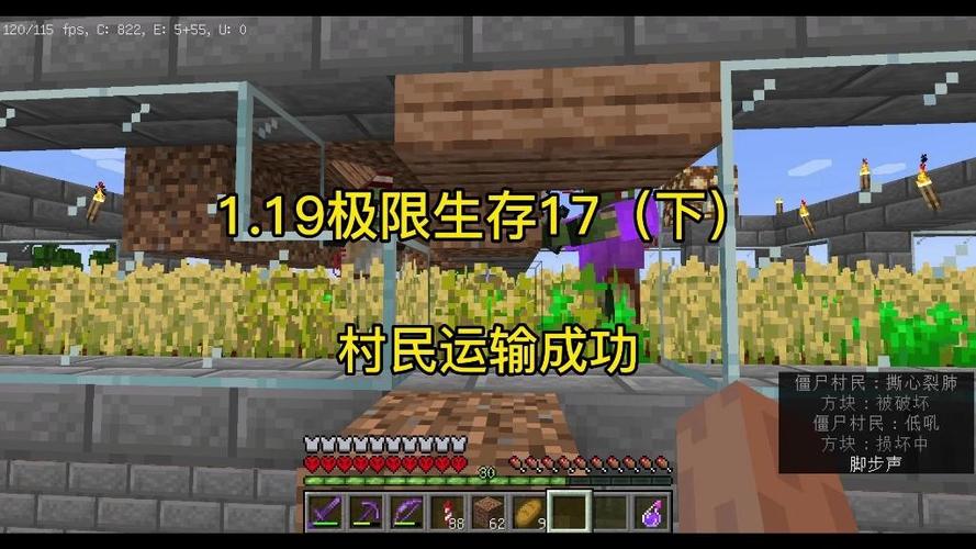 我的世界极限生存1.19