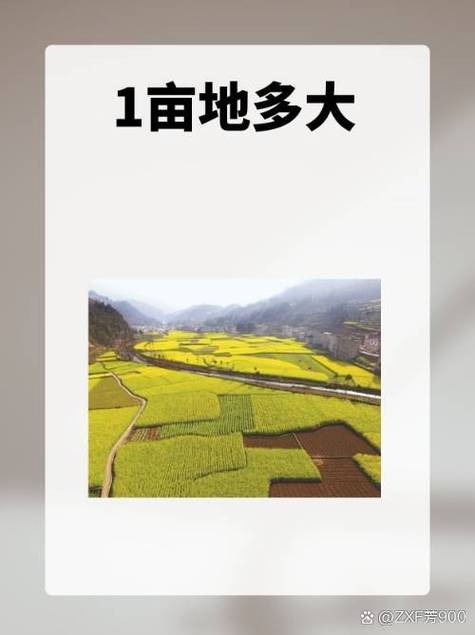 1亩=多少平方