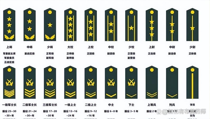 部队的军衔级别截图2