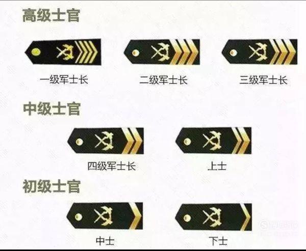 部队的军衔级别截图3