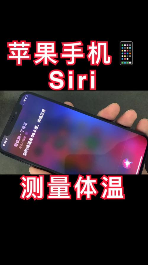 苹果手机测量体温图标