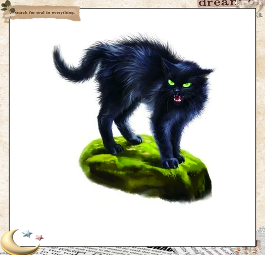 猫武士工作室