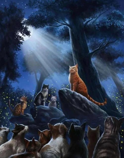 猫武士工作室截图2
