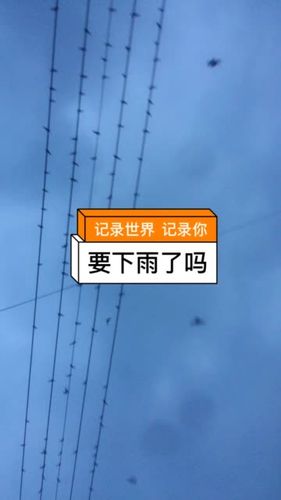 小鸟直播改名叫什么了截图3