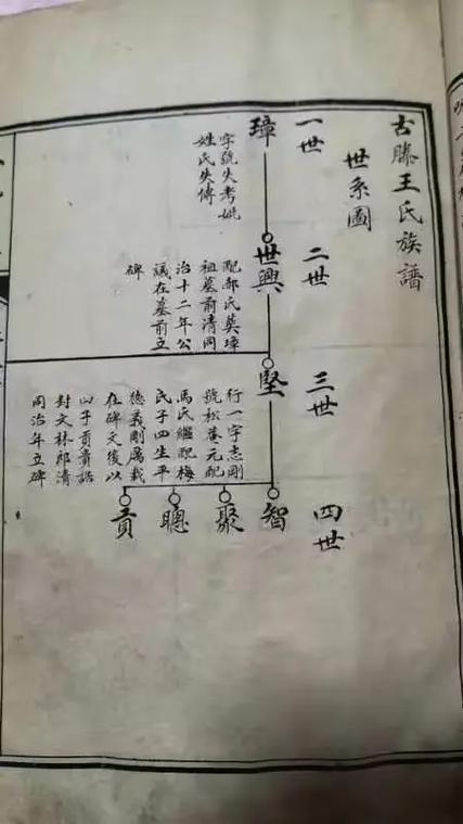 王氏姓氏族谱