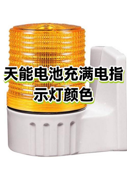 天能电瓶充电时灯不显示吗