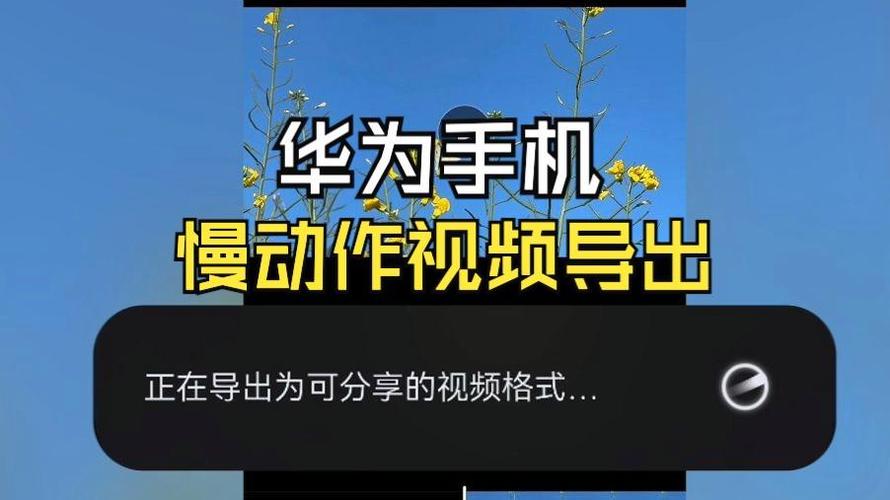 慢动作视频恢复正常速度