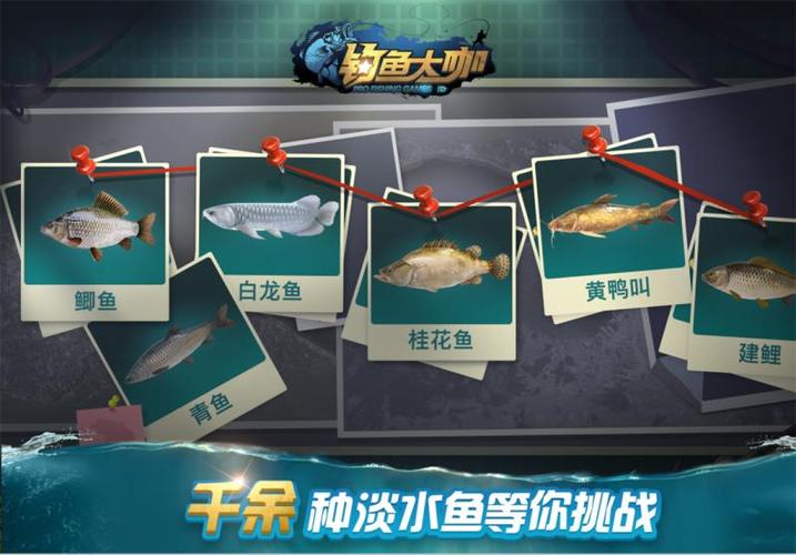 钓鱼大咖