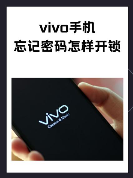 vivo健康密码