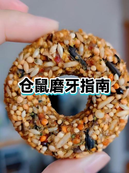 仓鼠为什么养不活