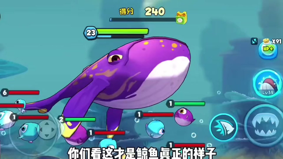 鲸鱼游戏