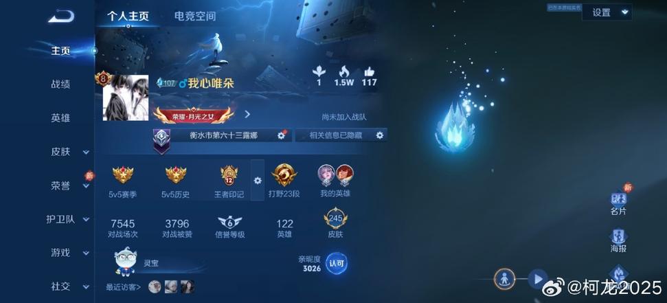 王者荣耀ios防检测截图2