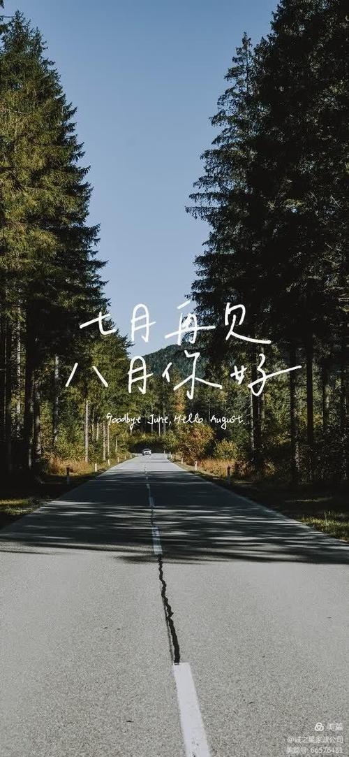 八月