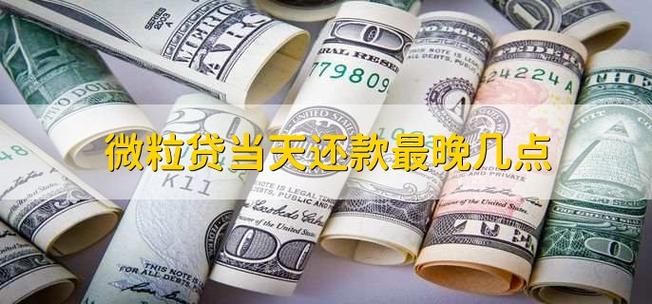 微粒贷最迟还款日截图2