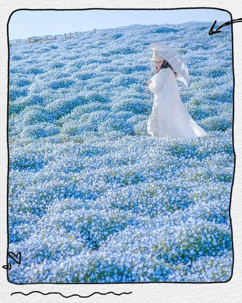 卖满天星的广告词