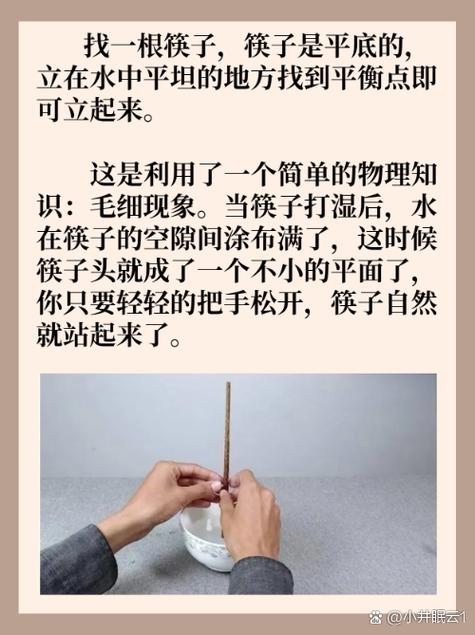 筷子立正的实验过程