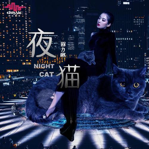 夜猫直播截图3