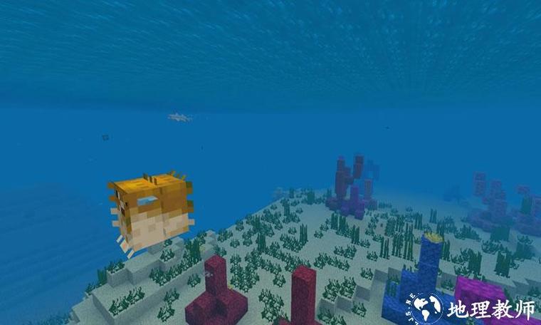 mc海洋版本是哪个版本