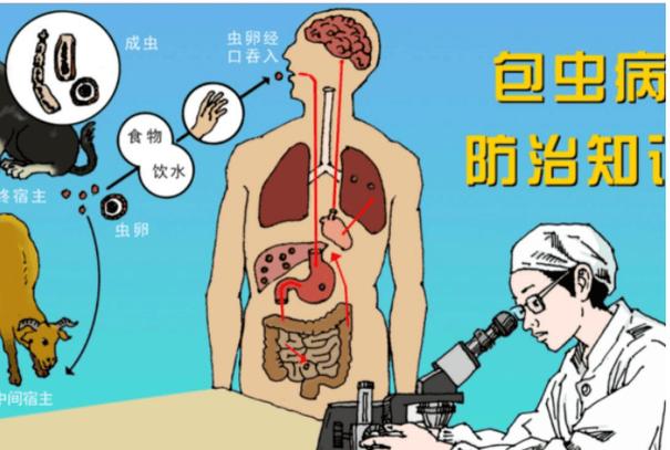 体内寄生虫安卓版 体内寄生虫安卓版