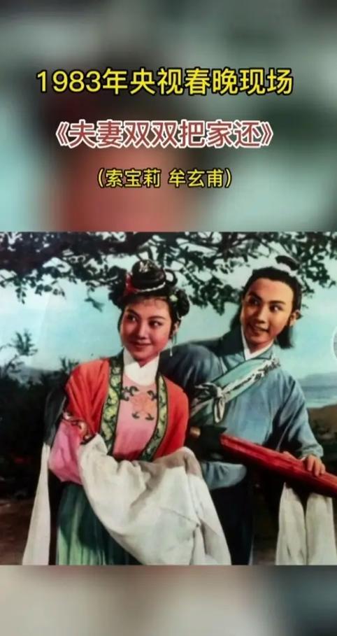 完整版的夫妻双双把家还