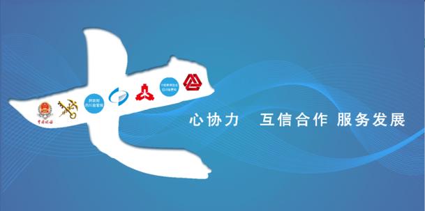 四川电子税务局(网页版)