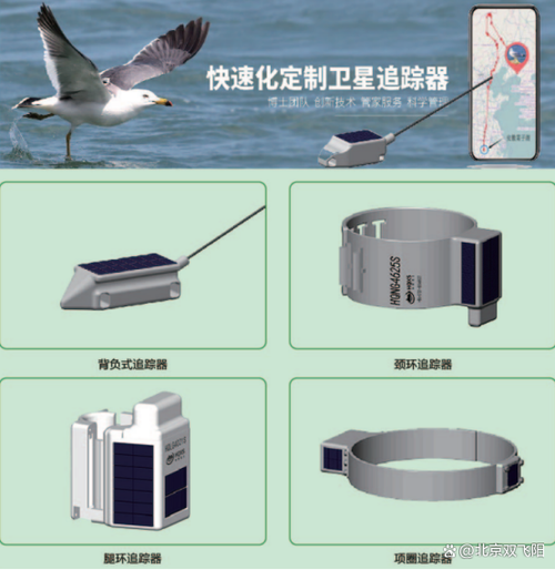 安卓之前所有粘贴的文字怎么找到。