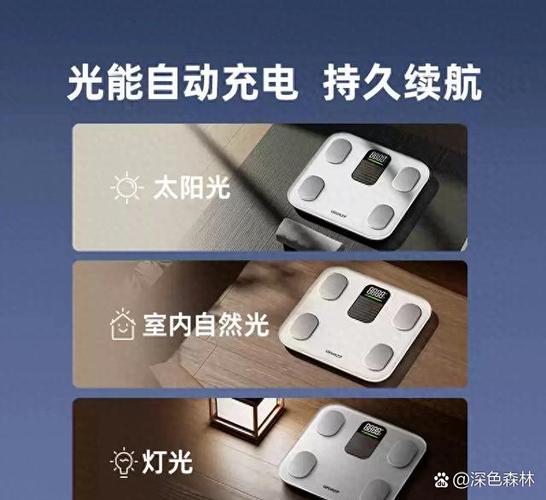 小米体脂秤2重置按键在哪截图2