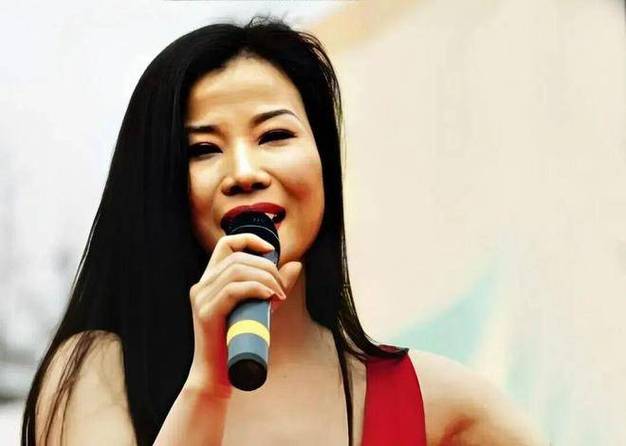 叶凡几个老婆