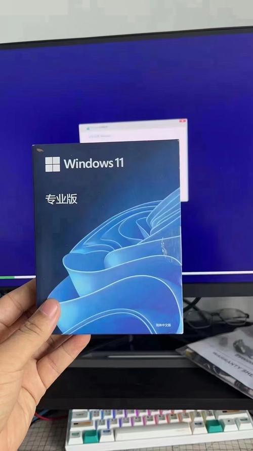 win10专业版正版下载截图2