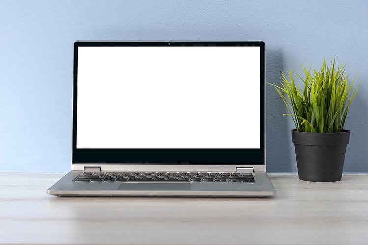 笔记本进桌面白屏