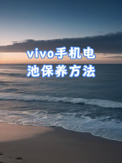 怎样更换vivo手机电池截图2
