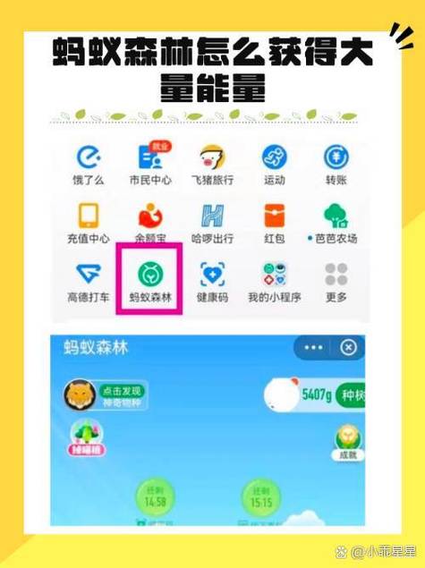 蚂蚁森林怎么收能量