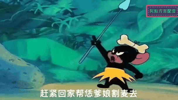 猫和老鼠重庆方言版 猫和老鼠重庆方言版