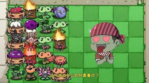 植物大战僵尸之随机僵尸