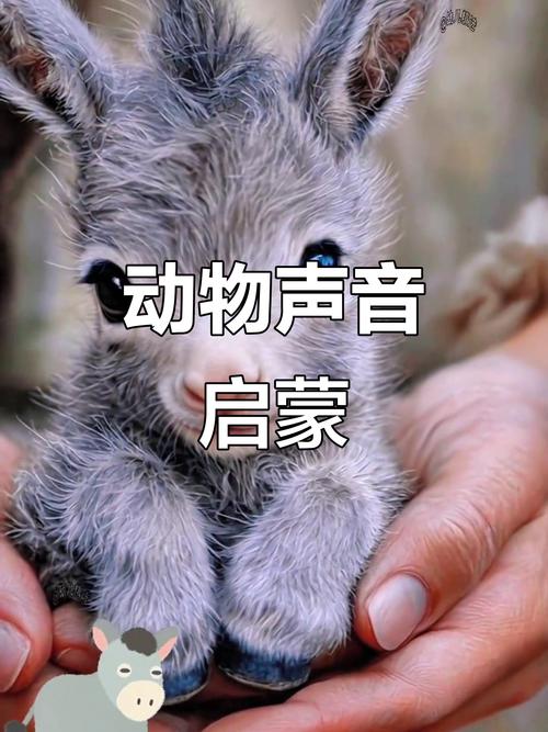 动物的叫声模拟器