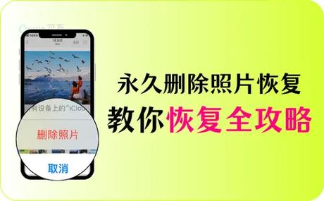 苹果永久删除照片找回截图3