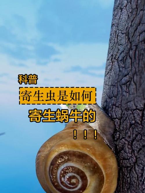 寄生虫是如何寄生的截图2