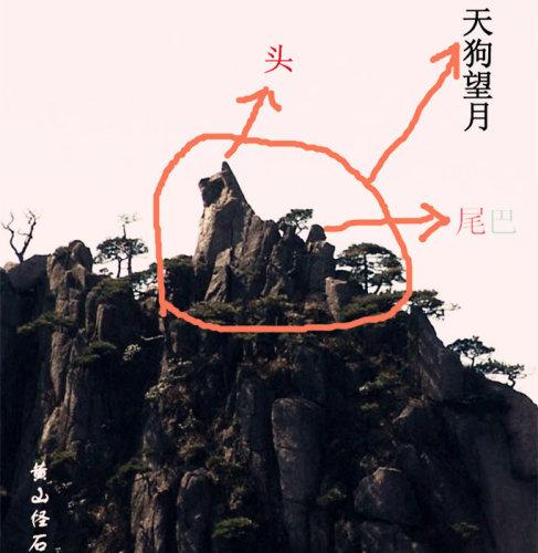 天狗望月的奇石图片