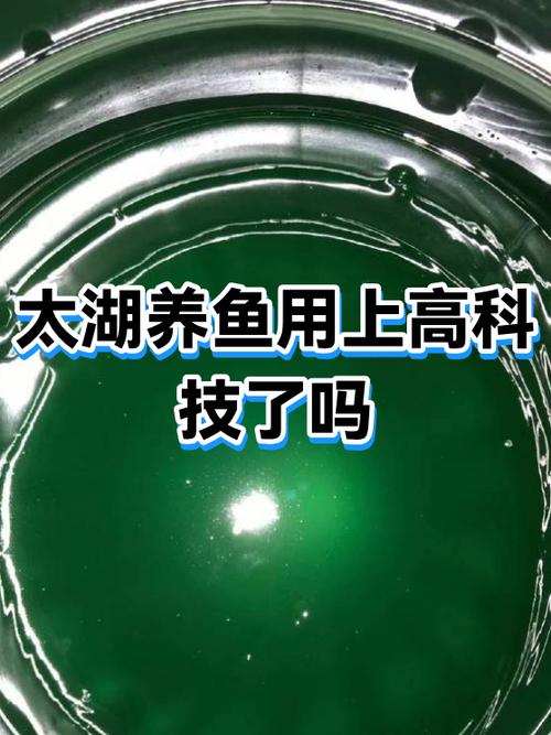 十大养鱼app排行榜截图3