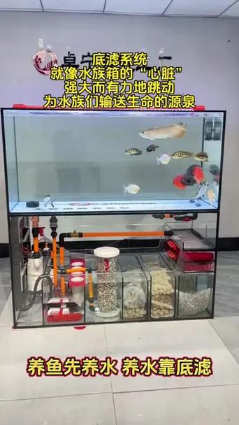 底滤鱼缸安装步骤