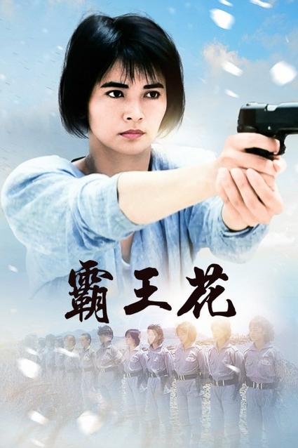 抗日女子霸王花