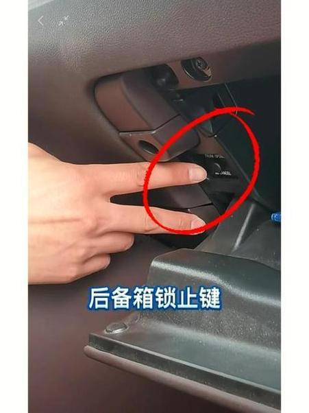 单独打开后备箱车门锁会开吗截图3