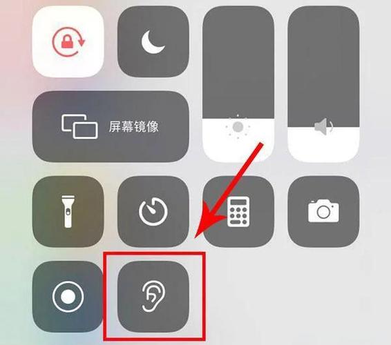 苹果关闭监听功能在哪里