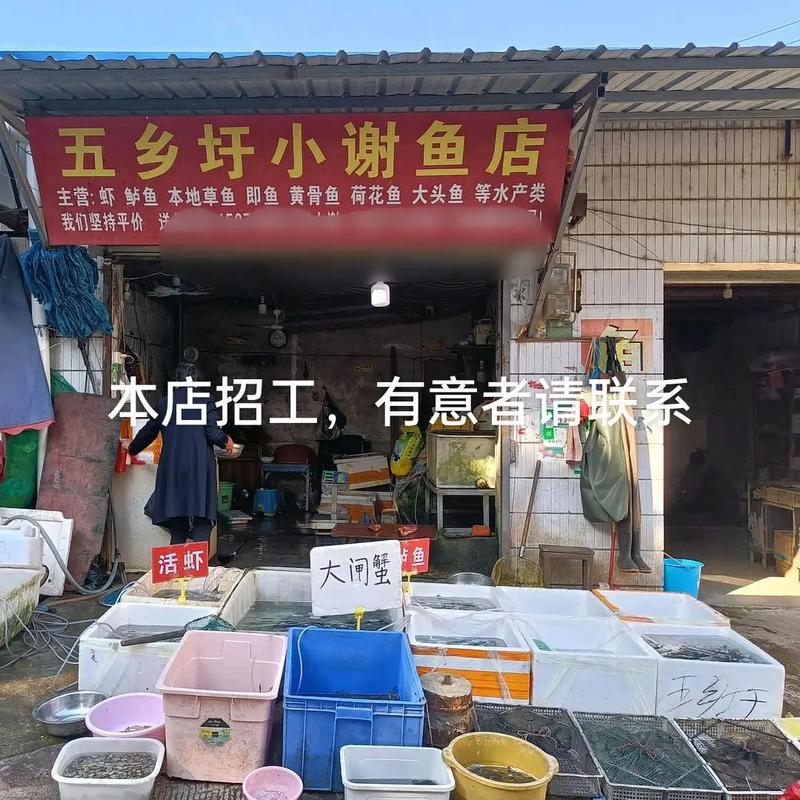 找本地收鱼电话