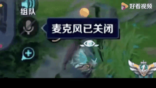 王者荣耀的麦克风截图2