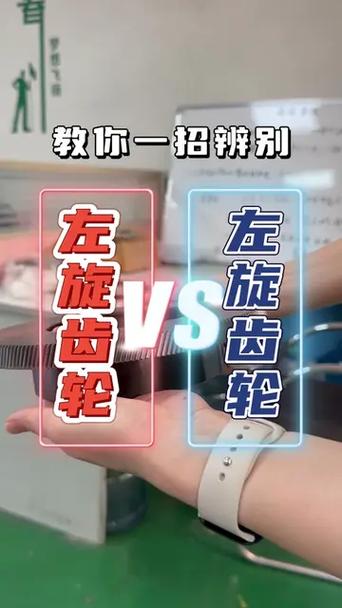 同一个轴上两个齿轮的旋向截图2