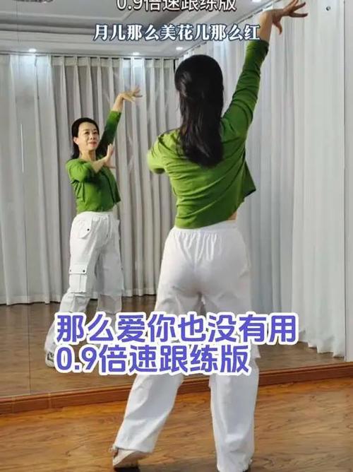 跳广场舞视频教学初学简单